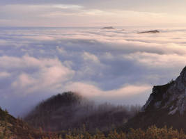 above the cotton field