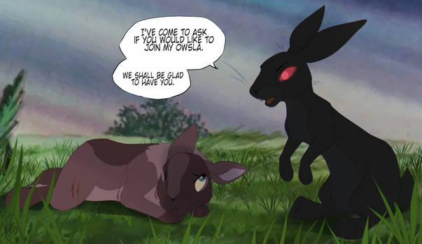 Campion Rabbit SilverRabbitRunner - Hobbyist, Photographer | DeviantArt