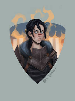 DA2 - Hawke
