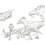 Theropods Down Under