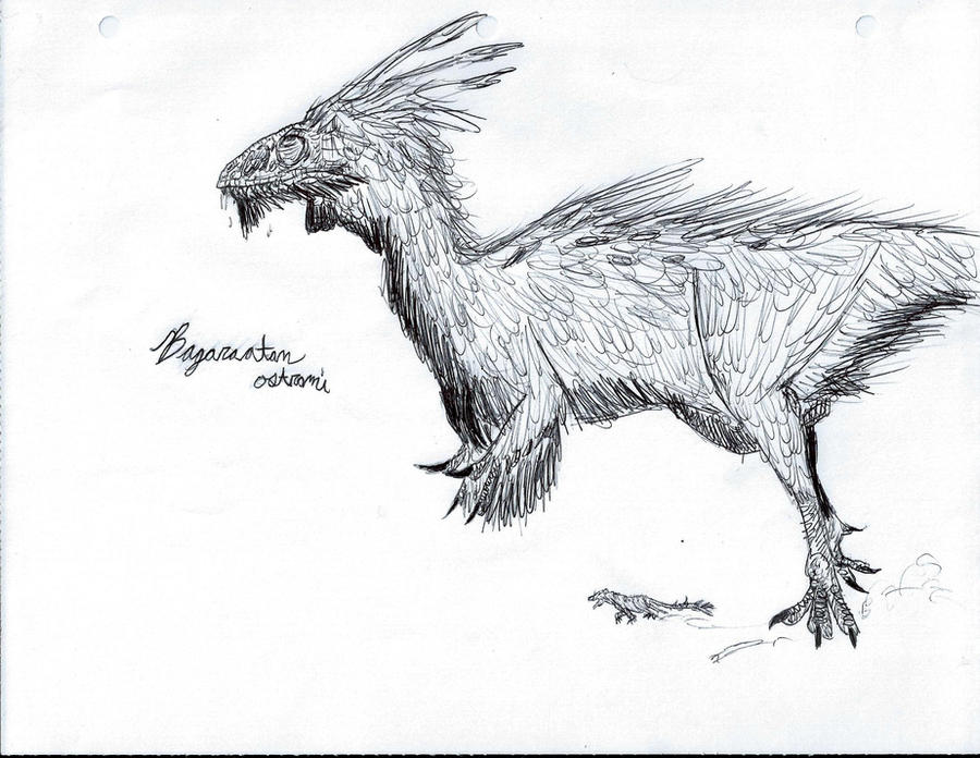 Poorly Known 0.2: Bagaraatan ostromi