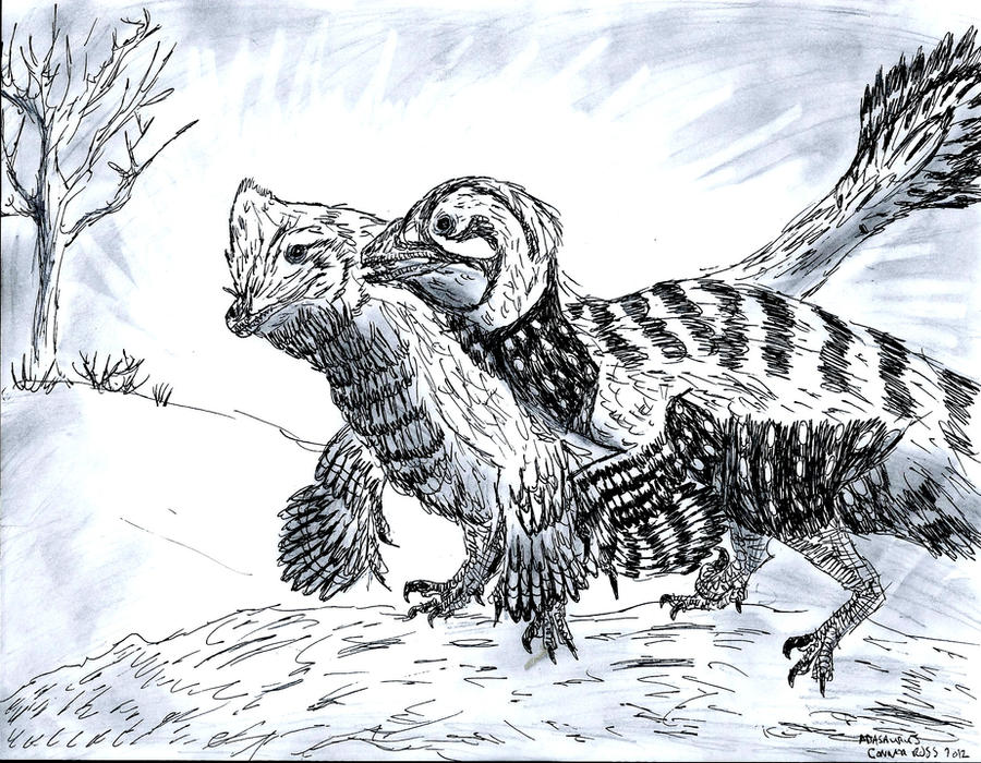 Quill Raptor Quailraptors by RajaHarimau98 on DeviantArt