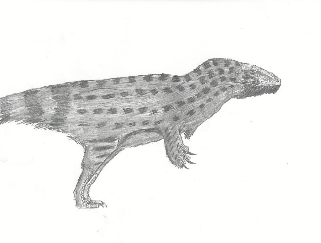 Poorly Known 0.2 Revision: Bagaraatan ostromi