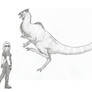 Eotriceratops xerinsularis by Teratophoneus on DeviantArt