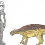 Prehistoric Australia #10: Minmi
