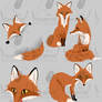 Fox Clip art pack
