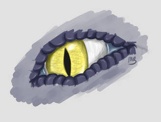sketch-Drayon eye