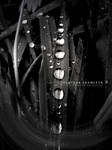 Drop Highway by xXDark-InfernoXx