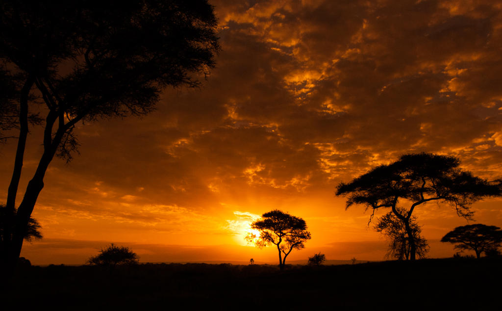 Tarangire sunset by SCHPONG