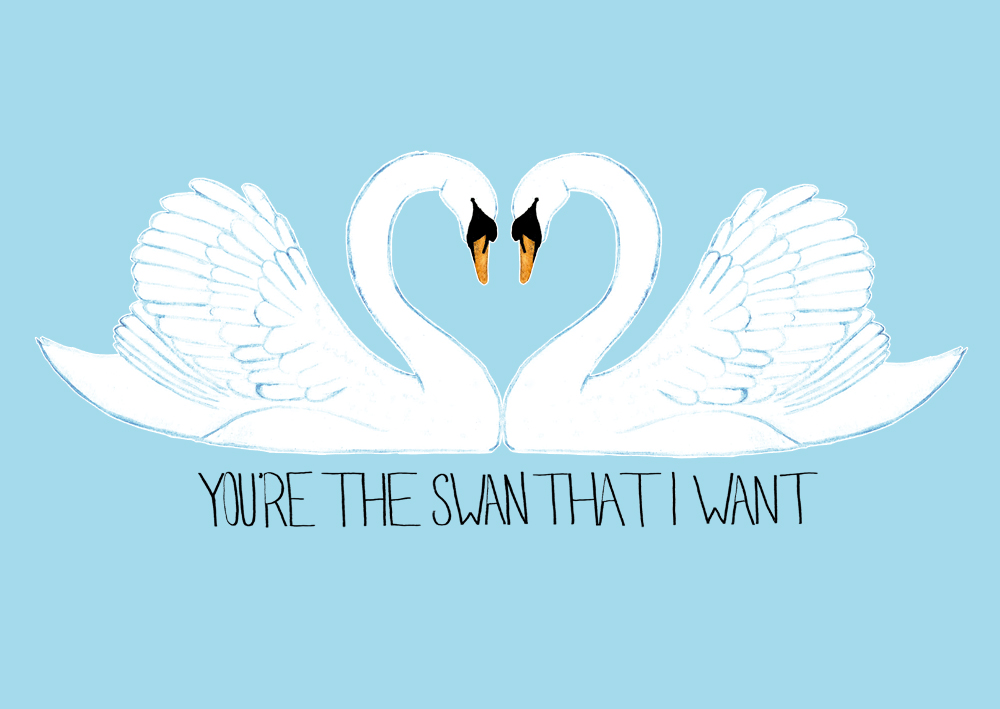 You're The Swan That I Want