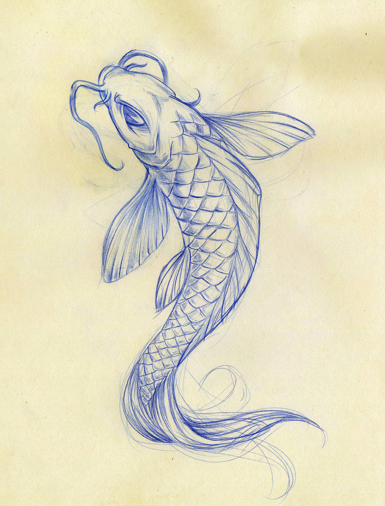 Koi Fish Sketch by Daeo on DeviantArt