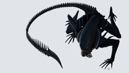 Xenomorph