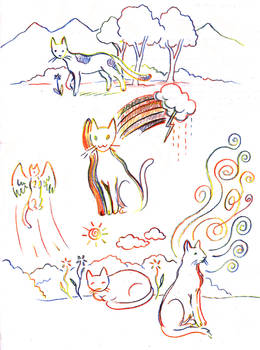 Rainbow cats