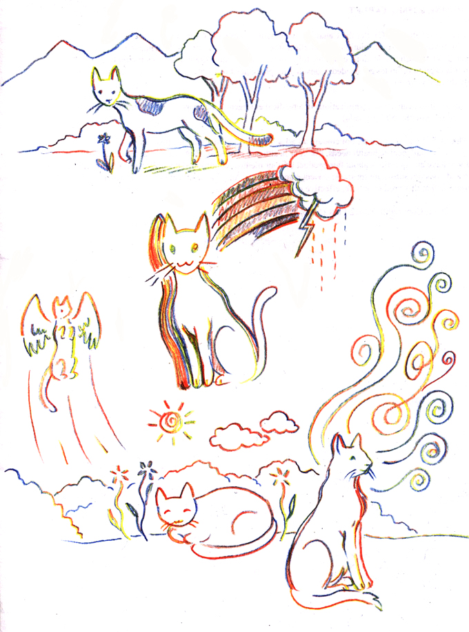 Rainbow cats