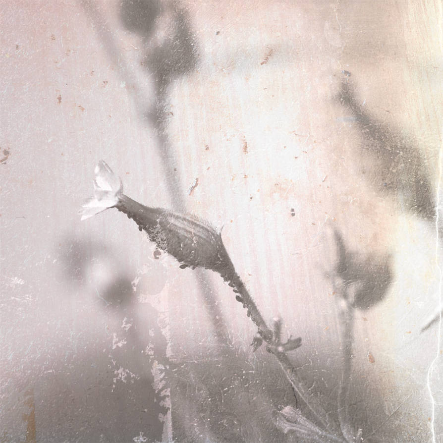 infested I by ChristianBurtscher on DeviantArt