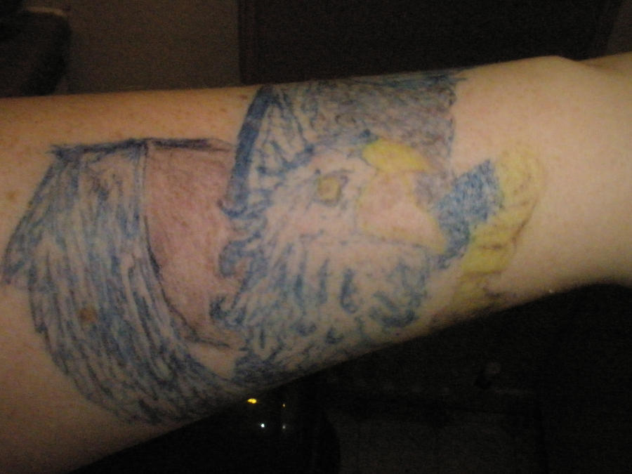 Blue Griffin Ink by SnfHeka on DeviantArt