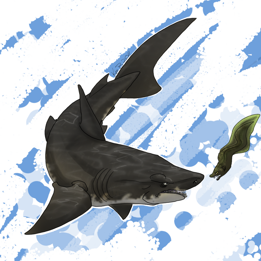 Shark Week - 2. Sand Tiger by kimardt on DeviantArt