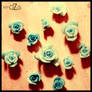 blue rose ???