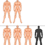 Adult Muscular Base 4