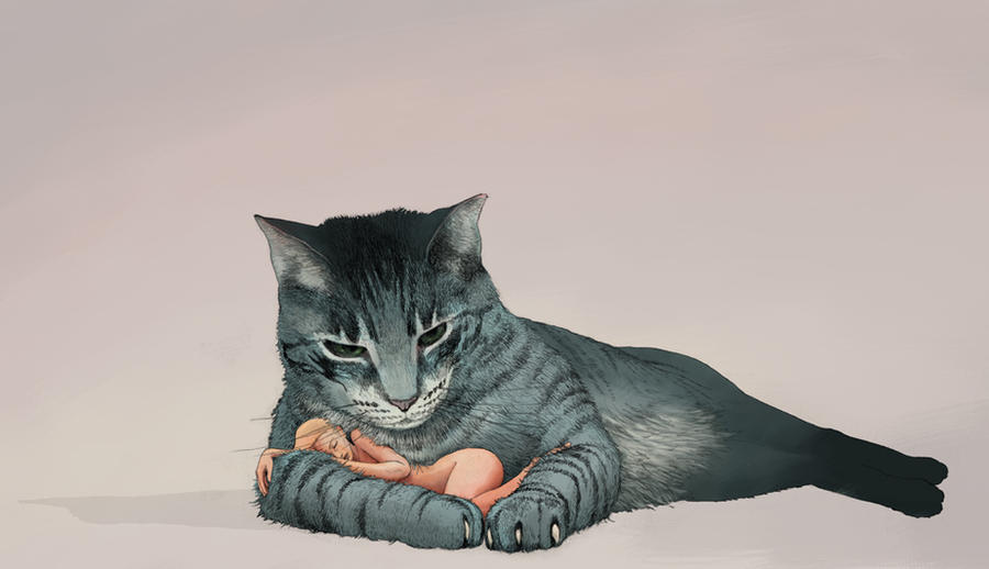 pet