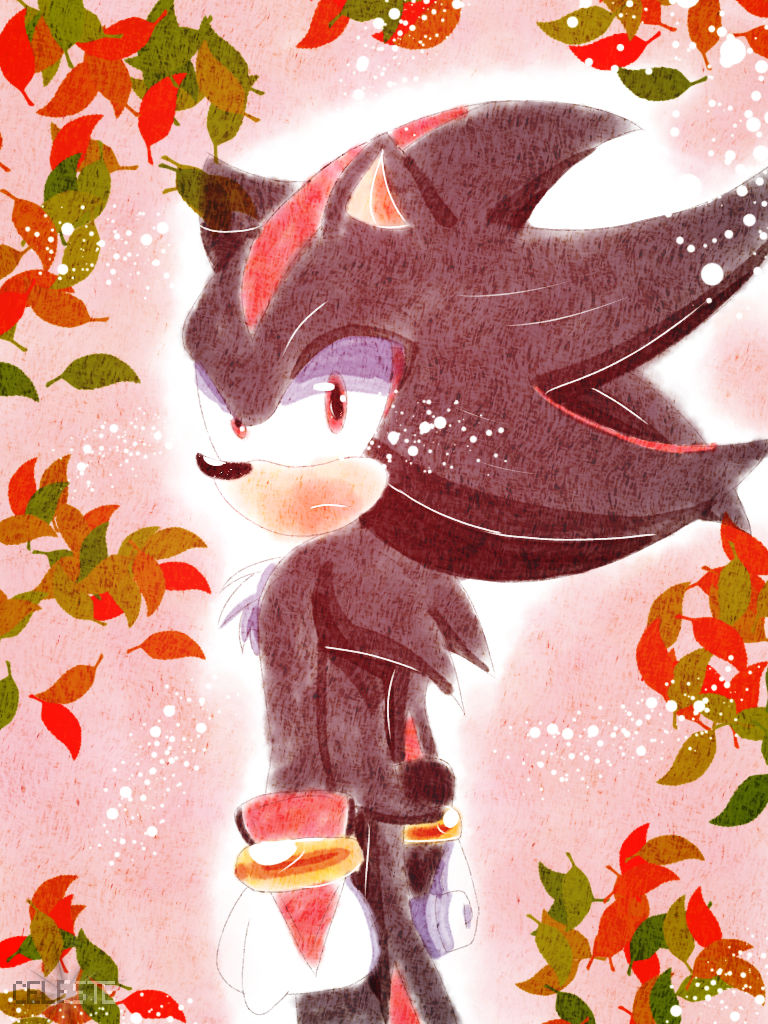 Shadow the hedgehog. by friskleste on DeviantArt
