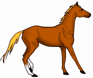 Horse Clip Art