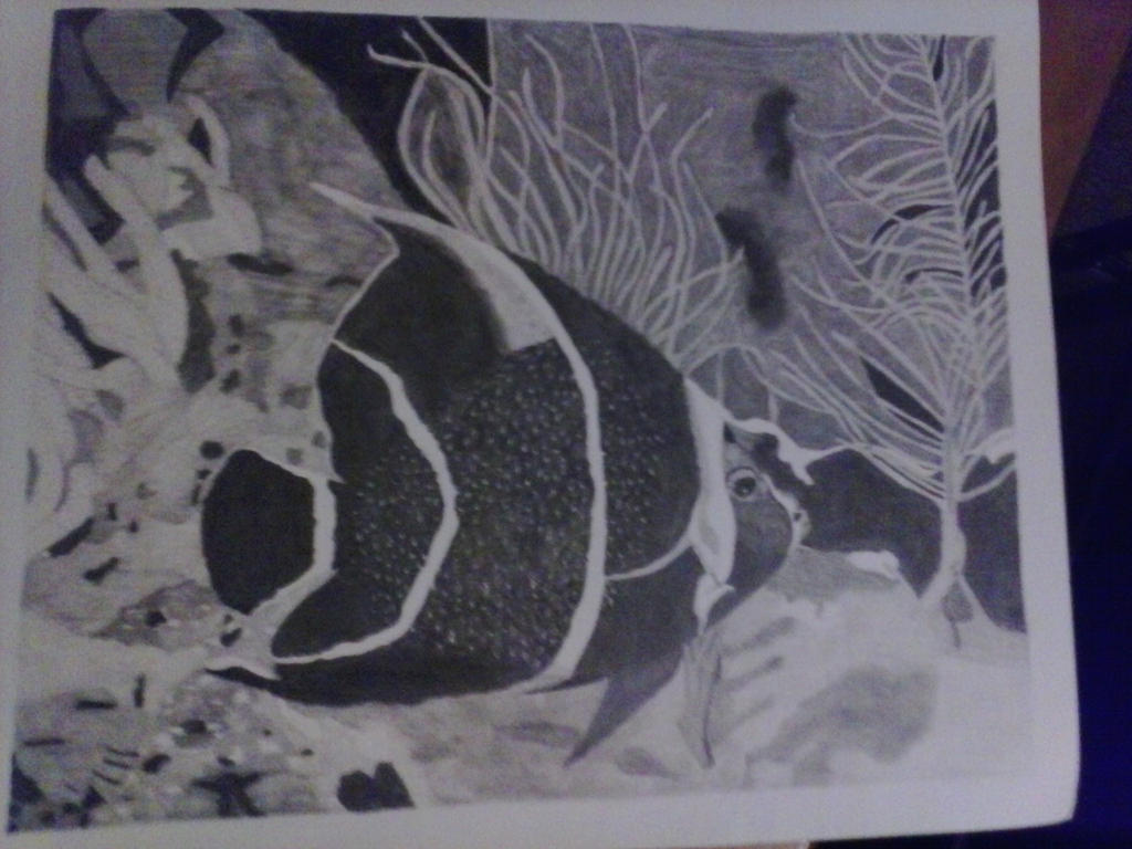 French Angel Fish- Completed by bagtop on DeviantArt