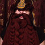 Gimli helm with eybrows before they were trimmed