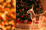 I see Xmas everywhere I go by thailinh