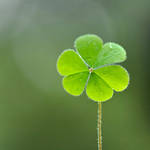 I dream a dream 2 by thailinh