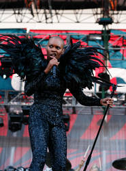 Skunk Anansie at Sziget 2011 8