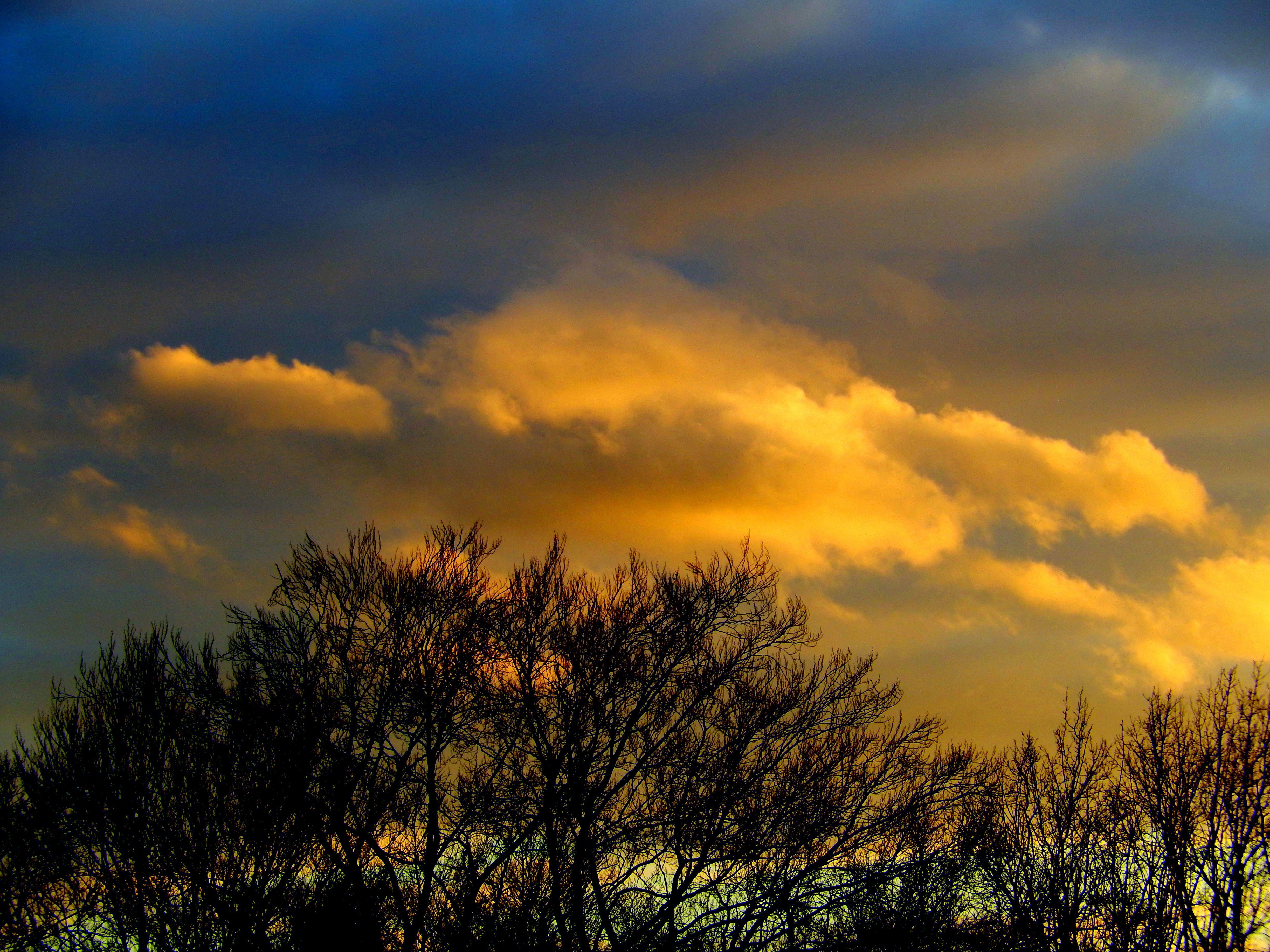 Painted cloud