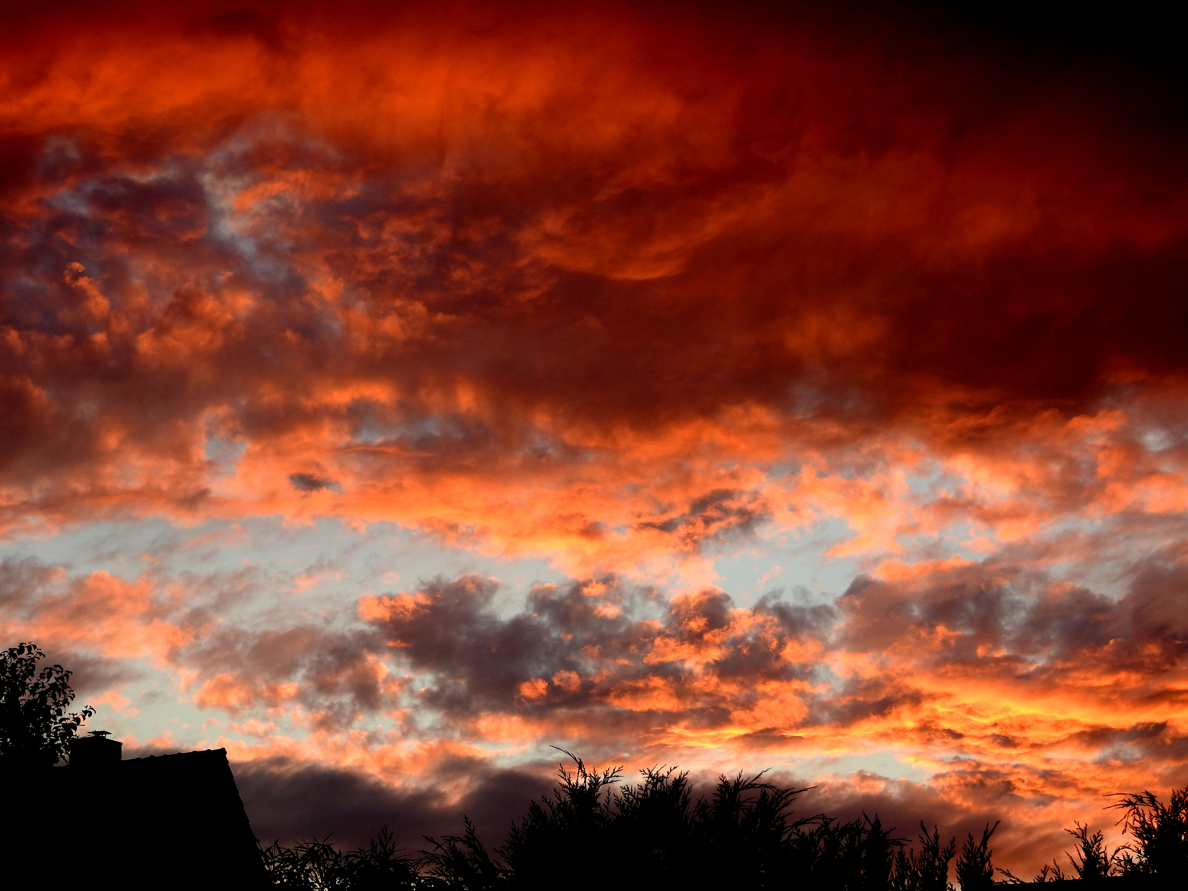 Burning evening sky