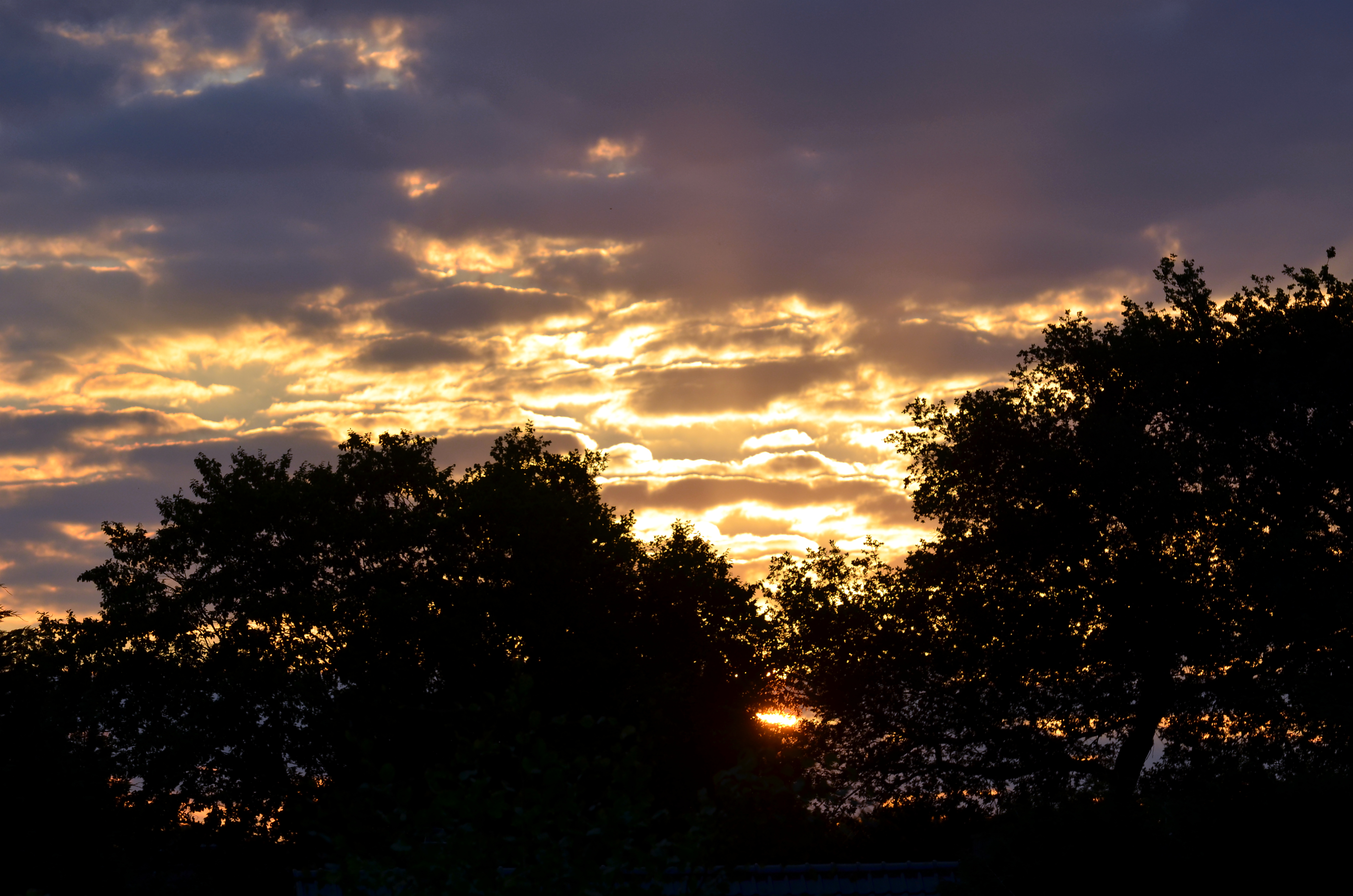 Golden Morning Light