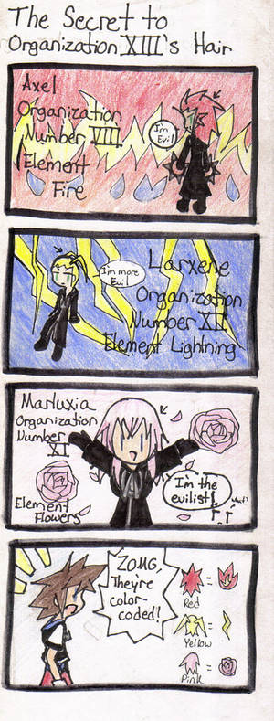 Organization XIII's Hair....