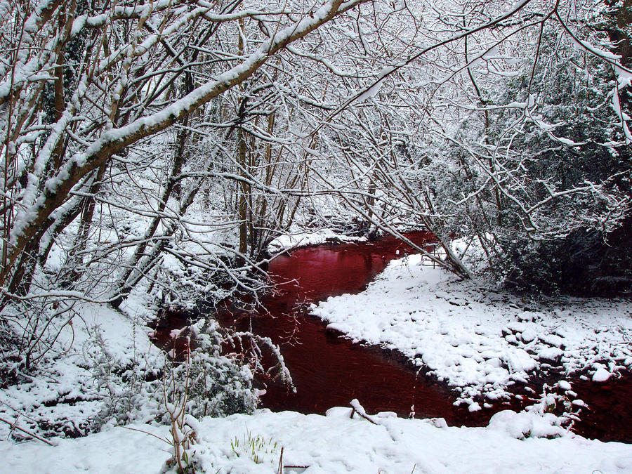 Озеро разбита. Красное озеро в Канаде озеро крови.