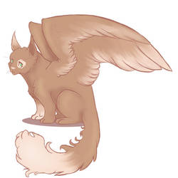 Winged Cat