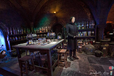 Hogwarts Potions Classroom