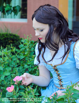 Belle From Once Upon a Time - 2