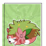 Sleeping Shaymin