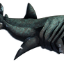 [SeldomSeenSpeciesSunday] Basking Shark