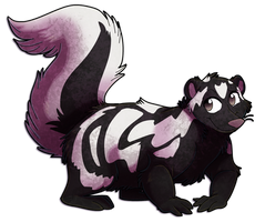 [SeldomSeenSpeciesSunday] Western Spotted Skunk