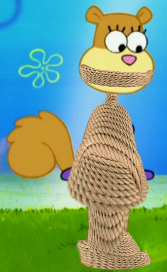 Sandy Cheeks Cocooned (Rope Wrap Gagged) by BlackWidow202 on DeviantArt