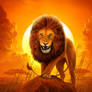 Savanna Lion background