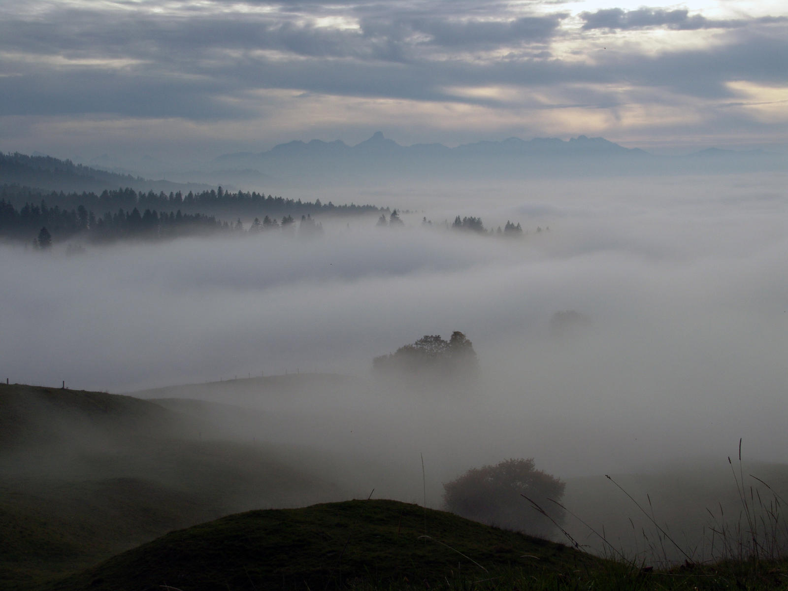 Schallenberg in the fog 3