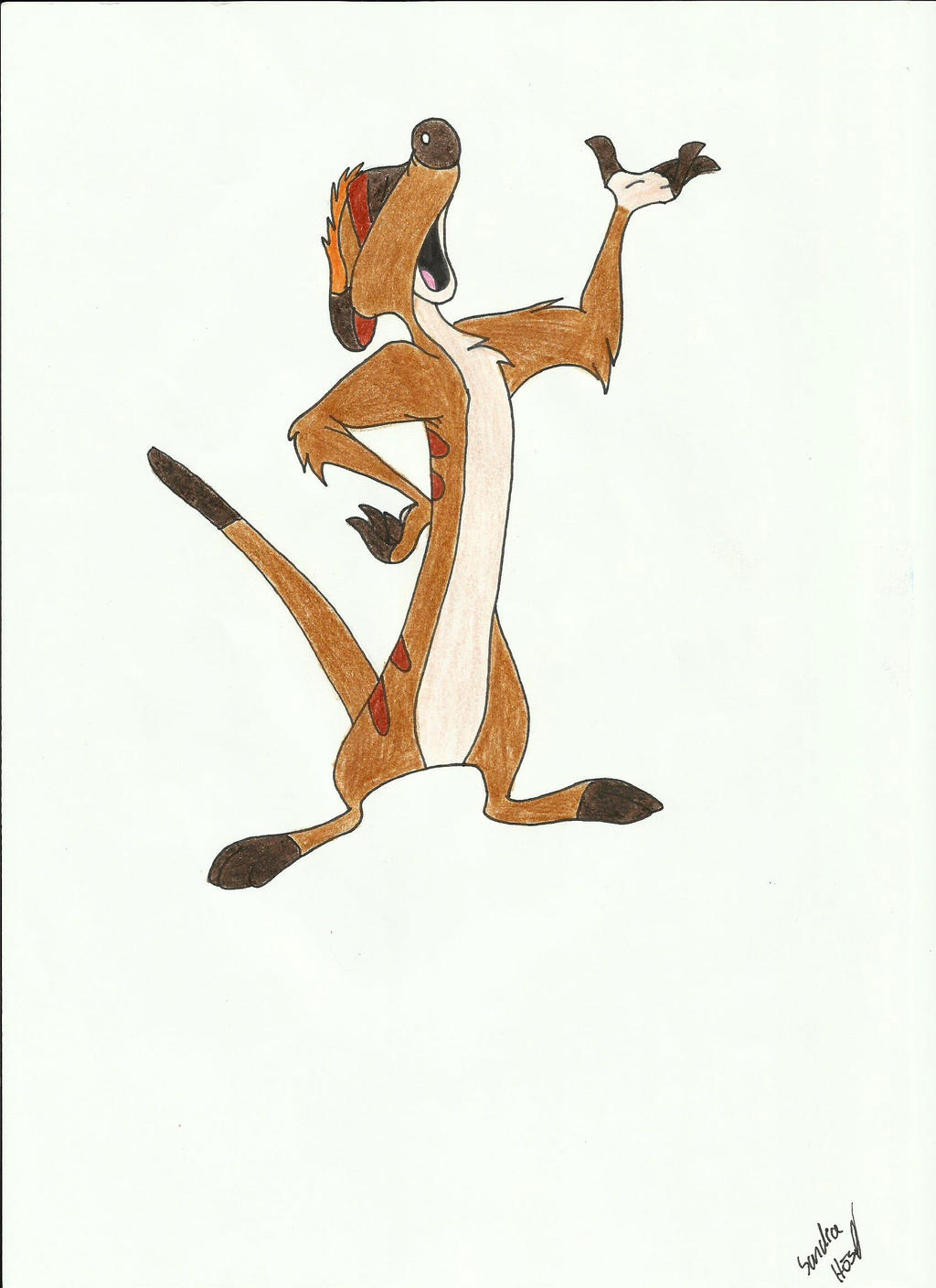Timon by Tsukiwerwolf on DeviantArt