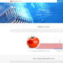 AdvancedTomato Official Web site