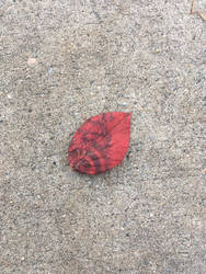 Red Leaf