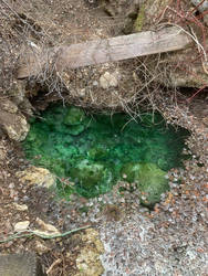 Thermal coral pool