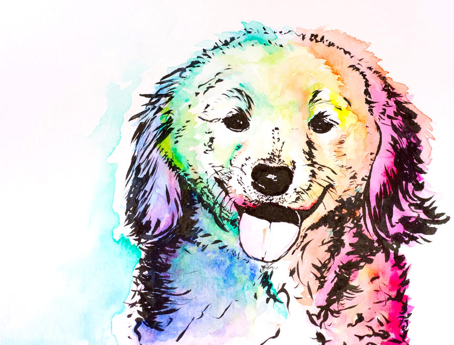 colorful dog #2